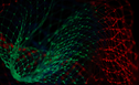 Introducing sparklyr.flint: A time-series extension for sparklyr